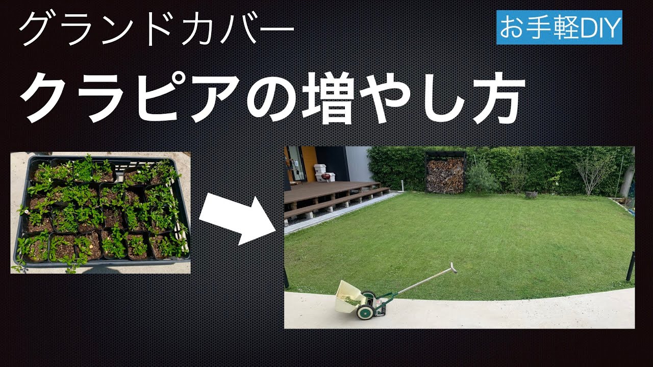 外構diy クラピアを挿し芽で増やす方法 Youtube