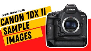 Canon EOS-1DX Mark II (4K) Sample Images with Camera Settings (2023)