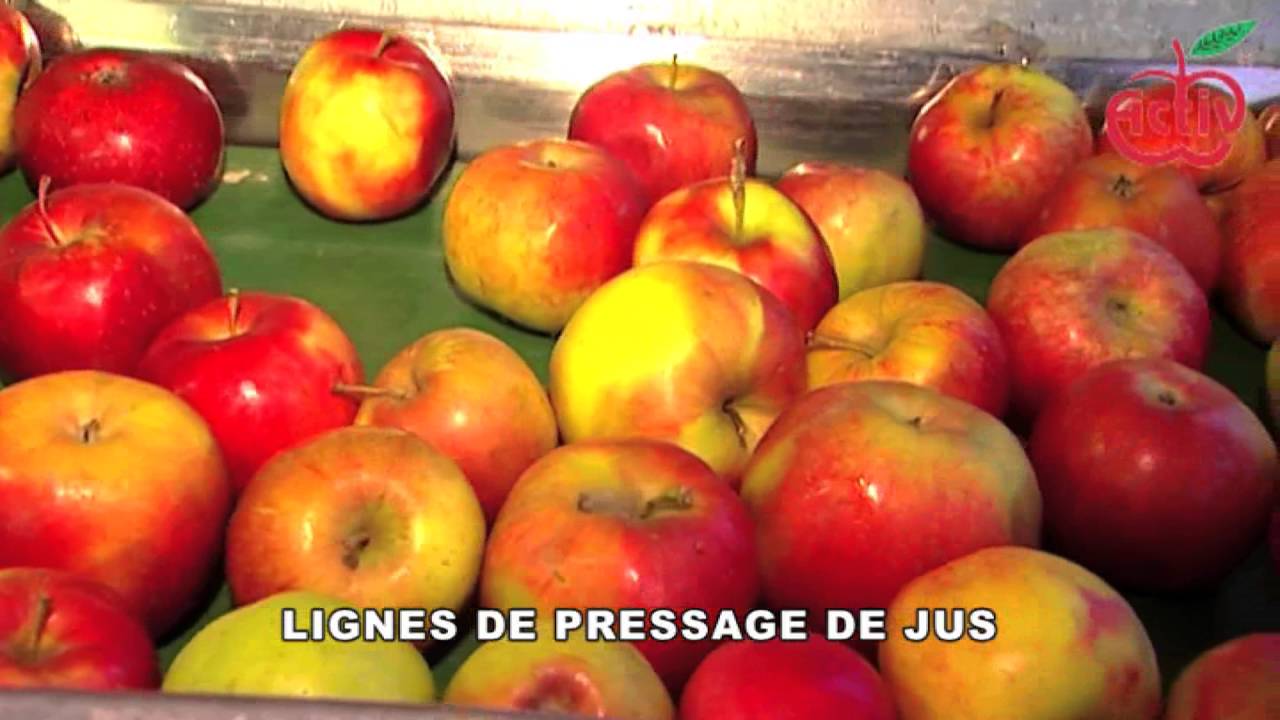 Royal apple french version YouTube
