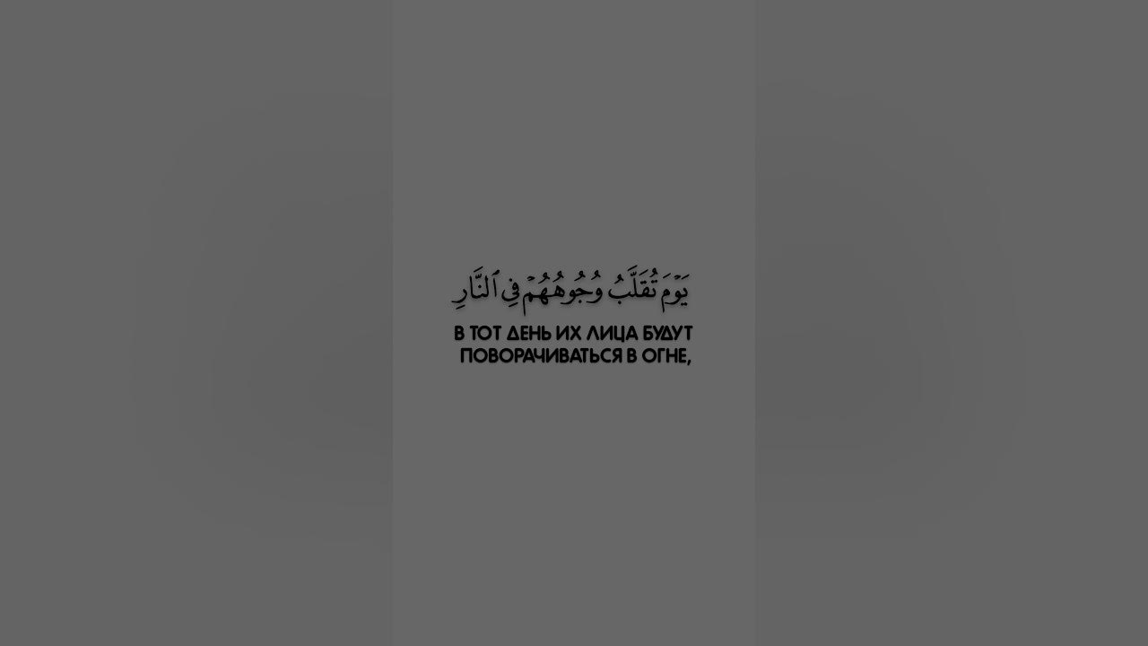 напоминай ибо напоминание приносит пользу верующим. напоминающие аяты. напоминай ибо напоминание приносит. напоминающие аяты. напоминающие аяты.