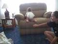 Emily 1 