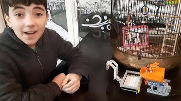 The Parakeet Babysitter Mindstorms Robot - Powered by Alexa Voice Commands!!