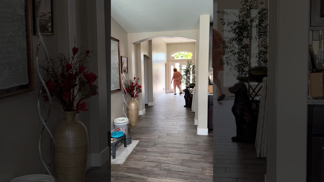 Doorbell Challenge: Springer Spaniel Style! 🔔 #shorts