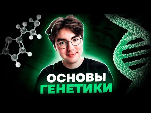 Основы генетики | Биология ОГЭ 2023 | Умскул