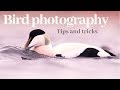 TIPS AND TRICKS | How to photograph waterfowl