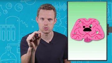 Can Proteins kill you? | Earth Science