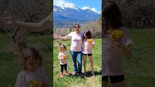 ANNOUNCEMENT!!! Garden Themed Shirts Just in Time for Mothers Day!!!!