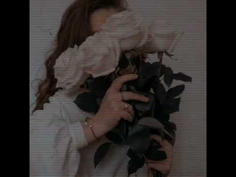 حالات واتساب الشعر عمل منحنى سعد المجرد حالات بنات وورد