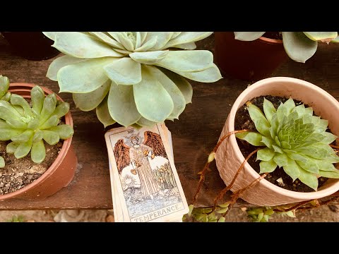 რა გაიაზრა უკონტაქტობის ჟამს