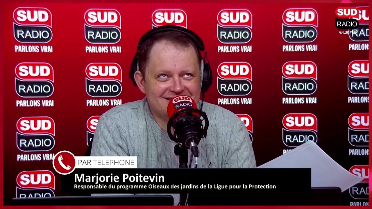 C’est le moment de compter les oiseaux dans les parcs et jardins - Comment va la planète