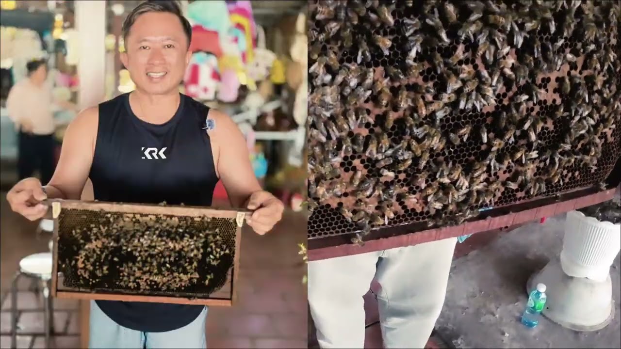 DAY 2 - HO CHIH MINH - MEKONG DELTA