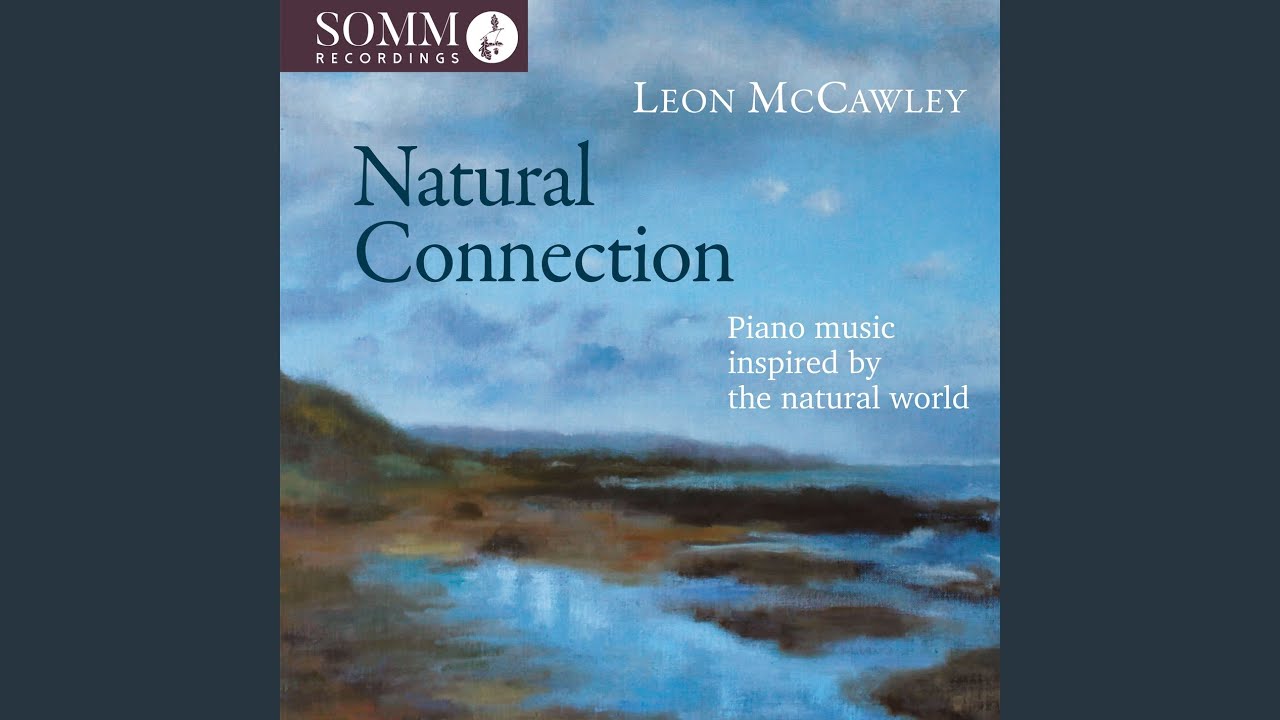 Children's Corner, L. 113: IV. The Snow Is Dancing