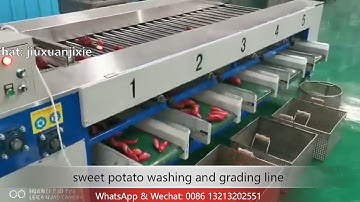 sweet potato processing line with washing polishing sorting grading line