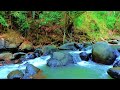 Gentle Mountain Stream 🌿 Soothing Water Sounds for Anxiety Relief
