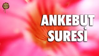 Her Canlı Ölümü Tadacaktır Ankebut Suresi - Ali Turan