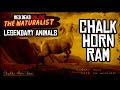 Red Dead Online The Naturalist Legendary Chalk Horn Ram Location. Легендарный толсторог Белый рог