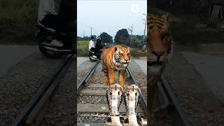 বাস্তব ঘটনা! Real event!#shorts