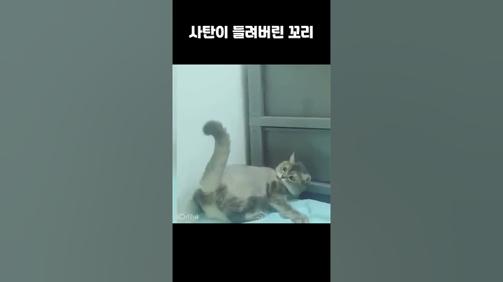 사탄이 들려버린 꼬리