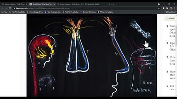 Rudolf Steiner Karmic Relationships Part 5 by John David Ebert