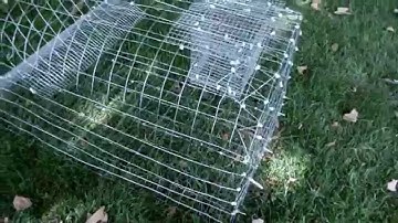 Snapping Turtle Trap