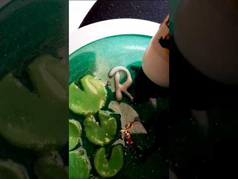Resin work 🥰..#resin #resinphotoframe
