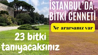 Bir Okulun Bahçesinden Çok Bitki Müzesi Gibi..100Lerce Bitki Türü Tek Bir Yerde.