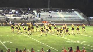 PDHS Dance Team 2010