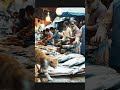 HEARTBREAKING! Cat CRIES for Fish at Market 😭 Sad Bangladeshi Stray Kitten Story (#VEO3 #Cinematic)