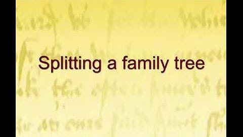 Splitting a family tree in GenoPro