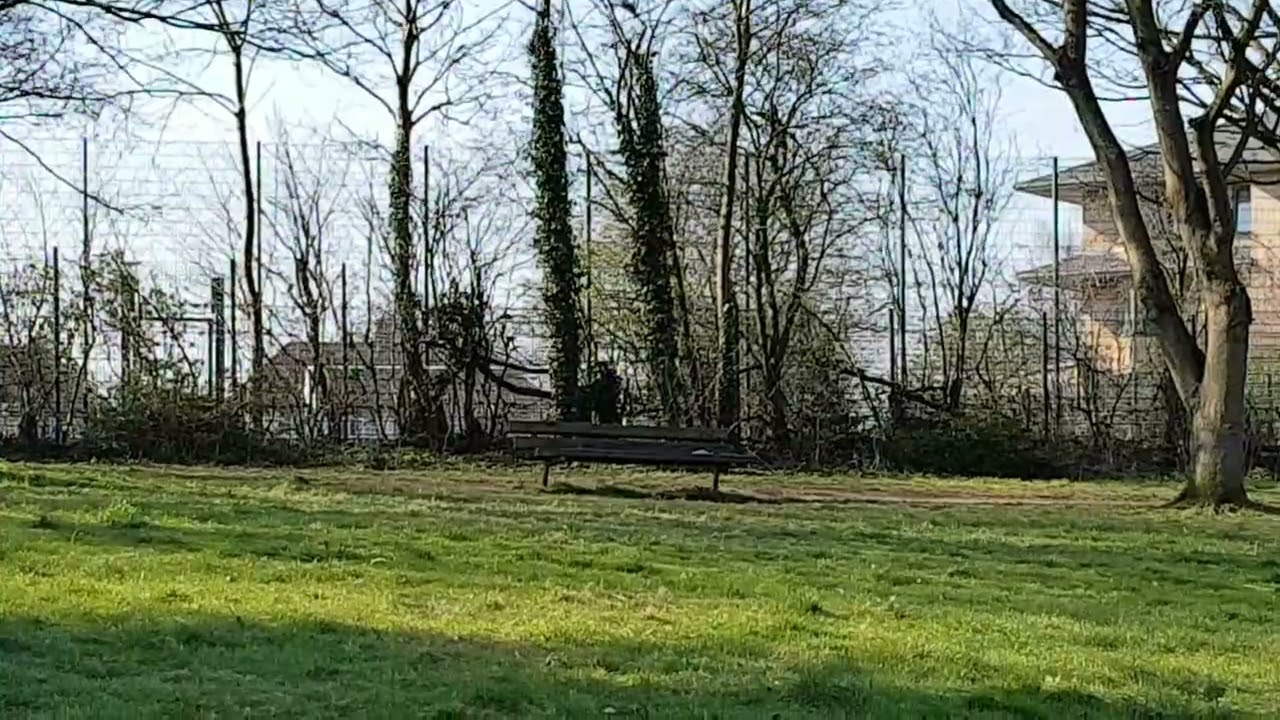 Real ShapeShifting Vampire caught on camera