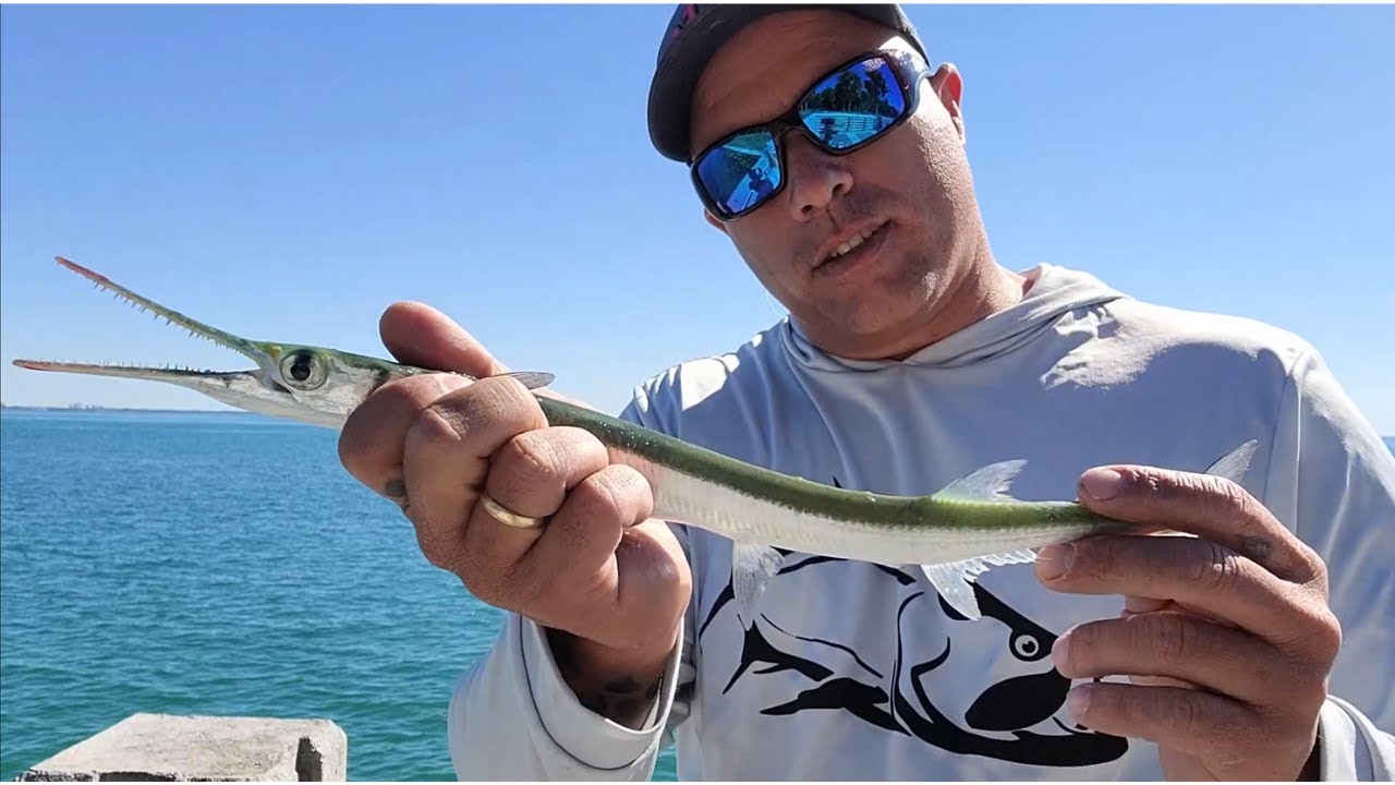 Como Pescar Con Carnada VIVA desde los PUENTES y MUELLES, Tecnica de TROLLING desde la orilla!