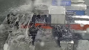 amt Allmatic  Basic VICE 160