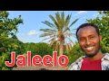 Hargeisa To Jaleelo
