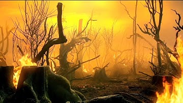 Michael Jackson This is It - Earth Song (Original Version) 4K Video