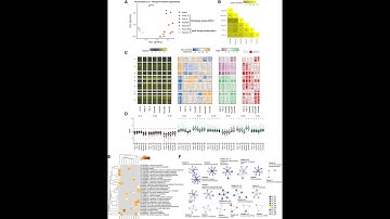 How to do Two -way (Factorial) MANOVA analysis in R software ?