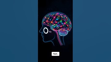 Your Brain Can’t Multitask 🧠🚫 | It Just Switches