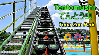 2025 Tentomushi Roller Coaster On Ride Front Seat POV Tobu Zoo
Tentomushi / てんとう虫 is a steel kiddie roller coaster located at Tobu Zoo Park in Minami, Saitamai, Japan. Tentomushi is Japanese for Ladybug.
Tentomushi
Tobu Zoo Park
Minami, Saitamai, Japan
Status Operating
Opened 1998
Design Manufacturer Zierer
Product Tivoli - Medium
Material Steel
Type Kiddie
Propulsion Booster wheel lift hill
Area 39 metres × 23 metres
Height 6 metres
Track length 199 metres
Speed 32 km/h
Inversions 0
Duration 1:30
My Gear:
Ray-Ban Meta Glasses: https://amzn.to/3HFnwRm
(Amazon Associate Links)
Please share, subscribe, comment or like this video and hit that bell icon.
Help support this channel by making this video go viral which will help fund the production of new content.
#rollercoaster #rollercoasters #amusementpark #themepark #themeparks #coasters #Achterbahn #ジェットコースター #thrill #thrillride #montañarusa #Achtbaan #rollercoastervideo #coastervideos
If you really enjoyed the video and want to help fund this channel directly, hit the thanks button and choose any amount. Traveling to these parks is not cheap and any amount will help greatly.
Finally, you can also help by clicking on one of my gear links when you shop for anything at Amazon. Thanks for watching.
#rollercoaster #themepark #amazing #amusementpark #travel 2025 Tentomushi Roller Coaster On Ride Front Seat POV Tobu Zoo