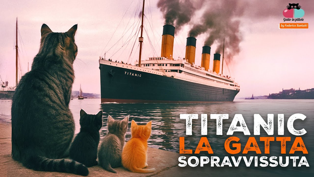 Titanic - La gatta che predisse l'affondamento 🐱