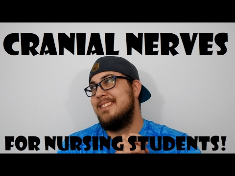 CRANIAL NERVES FOR NURSING STUDENTS (FUNNY)