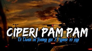 DJ CIPERI PAM PAM X DI DUNIA INI TENANG AJA X NGANA SO PIGI