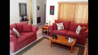 Stunning Home For Sale In Dunedin