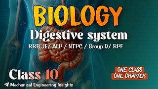 | Biology - Digestive System -One shot | General Science for Railway Exams 2025 🔥~ Class 10
