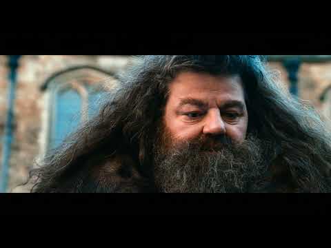 Harry Potter and the Chamber of Secrets