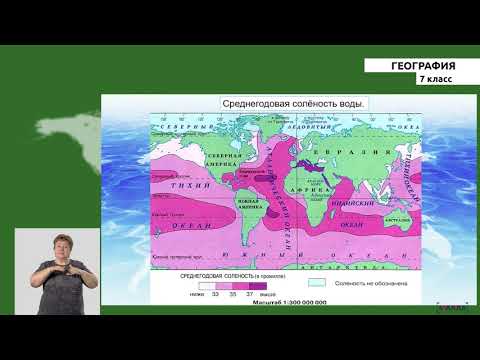 7 класс - РУ - География - №4 - Мировой океан