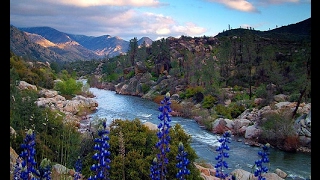 Watch Emmylou Harris Kern River video