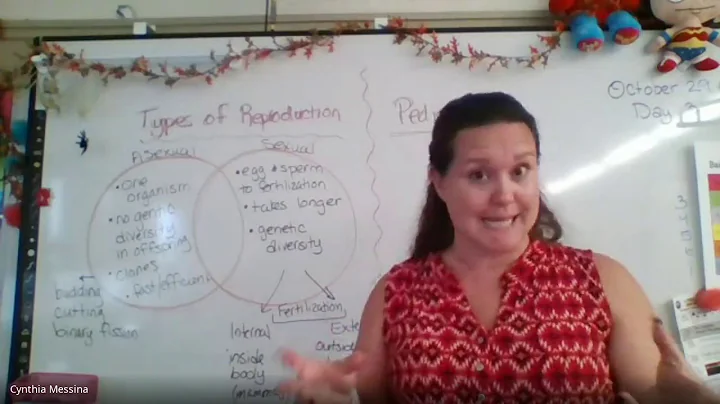 10 29 Review lesson for Quiz 2020 10 29 at 10 35 G...