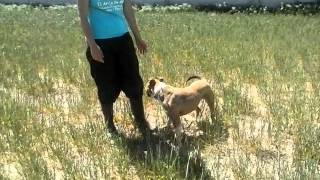 CAM00172