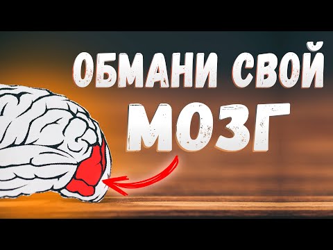 ЗАСТАВЬ СВОЙ МОЗГ РАБОТАТЬ! 3 научно доказанных способа