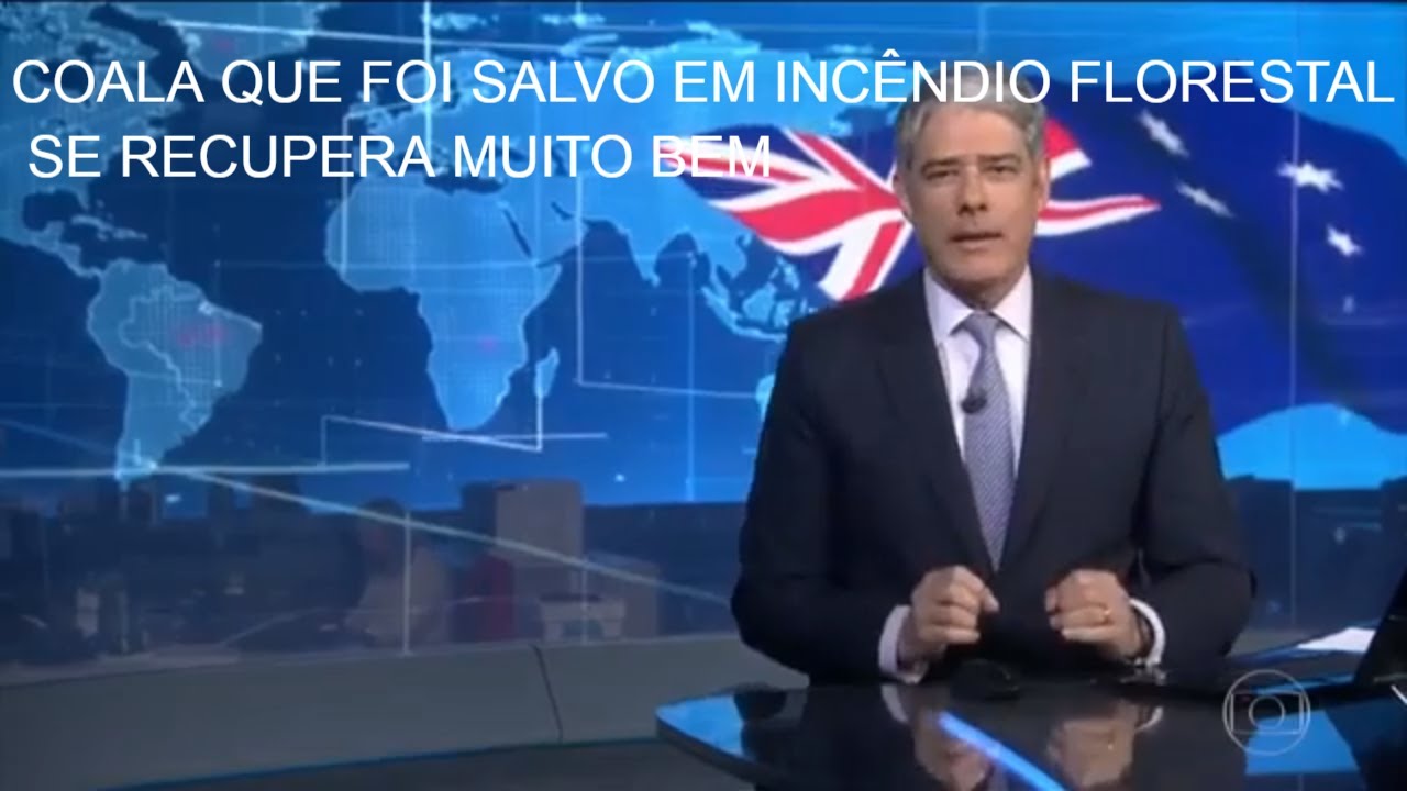 Impressionante o resgate de Coala em um grande incêndio florestal-2019