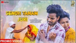 SENOH TANAM JURI __NEW  HO SONG__ROMANTIC LOVE SONG _2024